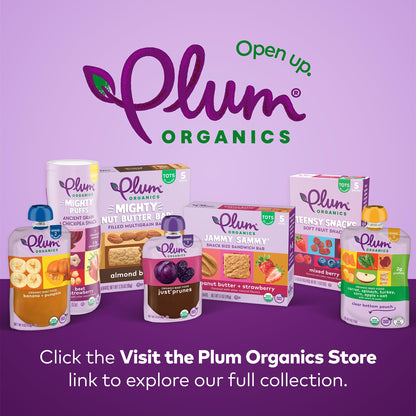 Plum Organics Blueberry Snack Bars - Pack of 48