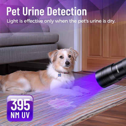 2 Pack UV Flashlight for Pet Urine Detection