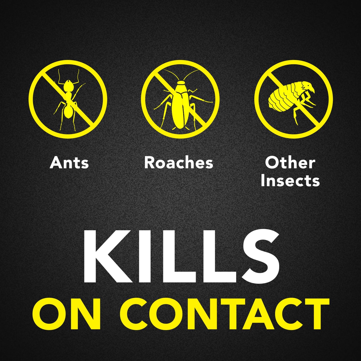 Raid Ant & Roach Killer 2 Count Bug Spray