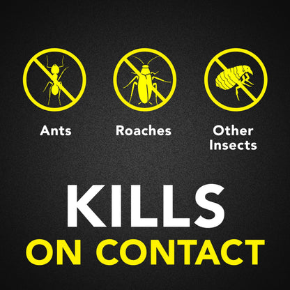 Raid Ant & Roach Killer 2 Count Bug Spray
