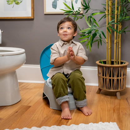 Summer Infant 3-in-1 Potty Seat and Stepstool