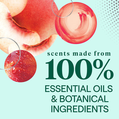 Seventh Generation Summer Orchard Dish Soap 19 oz