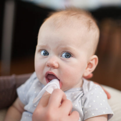 Dr. Brown's 30 Count Tooth & Gum Wipes