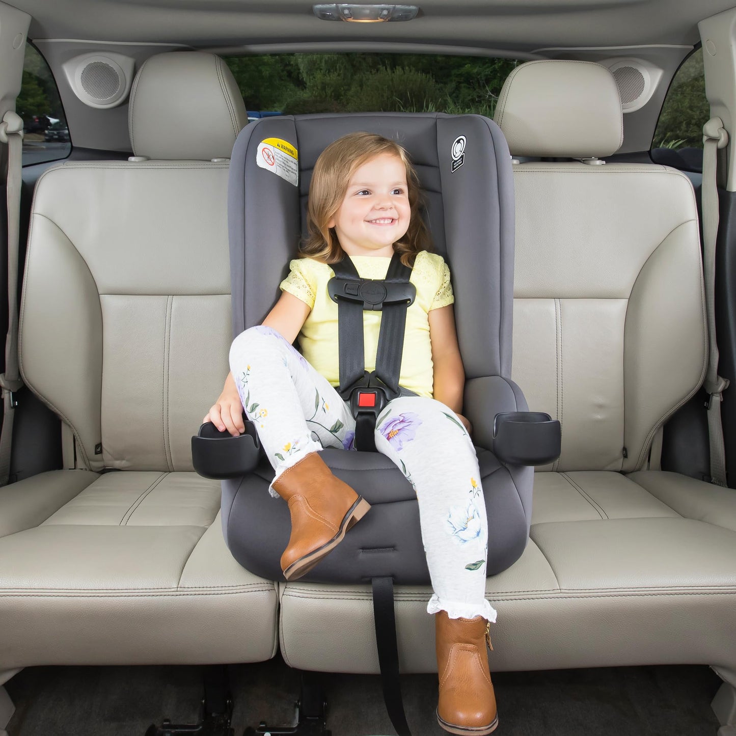 Disney Baby Convertible Car Seat 2-in-1