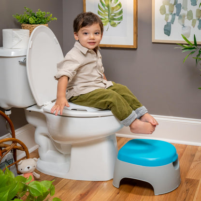 Summer Infant 3-in-1 Potty Seat and Stepstool