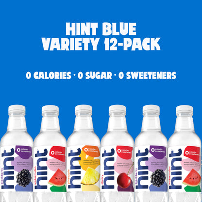 12 Pack Hint Water Best Sellers Variety
