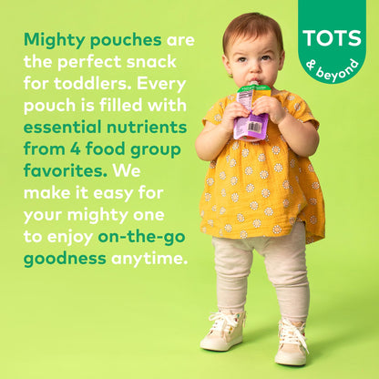 12 Pack Plum Organics Toddler Food Pouches