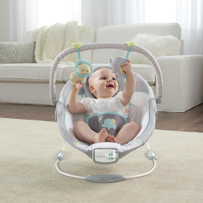 Ingenuity Soothing Baby Bouncer Infant Seat with Vibrations, -Toy Bar & Sounds, 0-6 Months Up to 20 lbs (Morrison)
