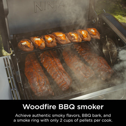 Ninja 5-in-1 Electric and Propane Grill System
