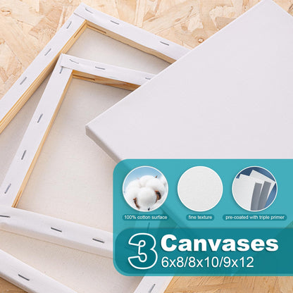 Acrylic Paint Set with Canvases and Brushes