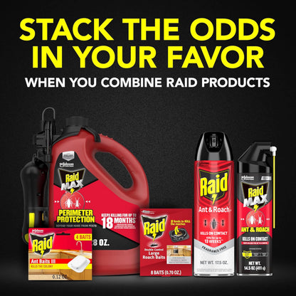 Raid Ant & Roach Killer 2 Count Bug Spray