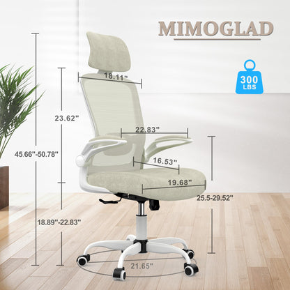 Ergonomic High Back Desk Chair with Lumbar Support