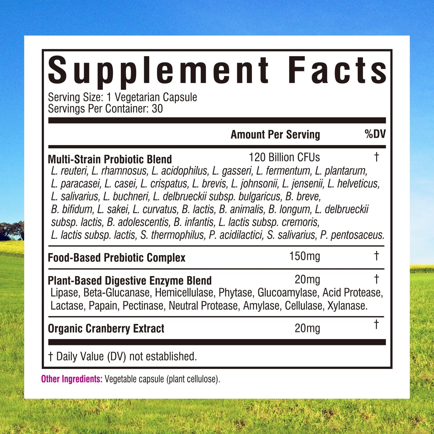 Women’s Probiotics 120 Billion CFU Innate Vitality