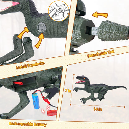 Remote Control Chasing Velociraptor Dinosaur Toy