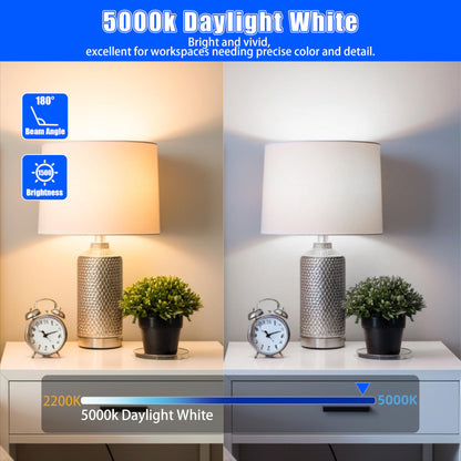 12 Pack MASTERY MART LED Light Bulbs 1500 Lumens