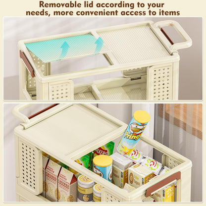 4 Tier Storage Bins with Lids, Plastic Storage Bins With Wheels, Collapsible Storage Bins With Handle, Closet Organizers and Storage