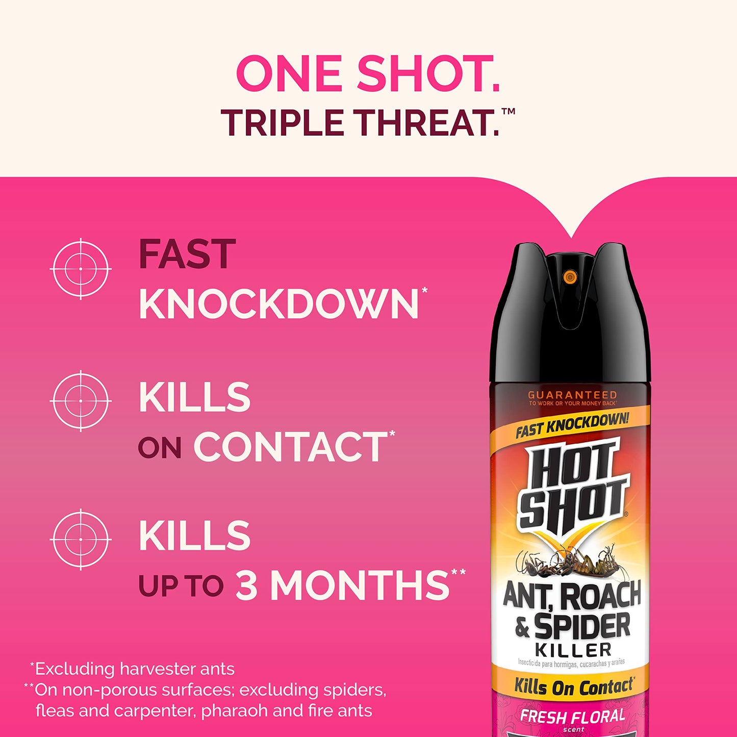 Hot Shot Ant, Roach And Spider Killer 2-17.5 Ounce Aerosol Cans, Fresh Floral Scent, Twin Pack