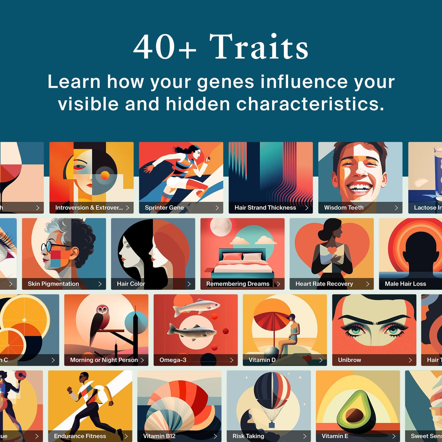 AncestryDNA + Traits Genetic Test Kit: Personalized Genetic Traits, DNA Ethnicity Test, Origins & Ethnicities, Complete DNA Test, Ancestry Reports