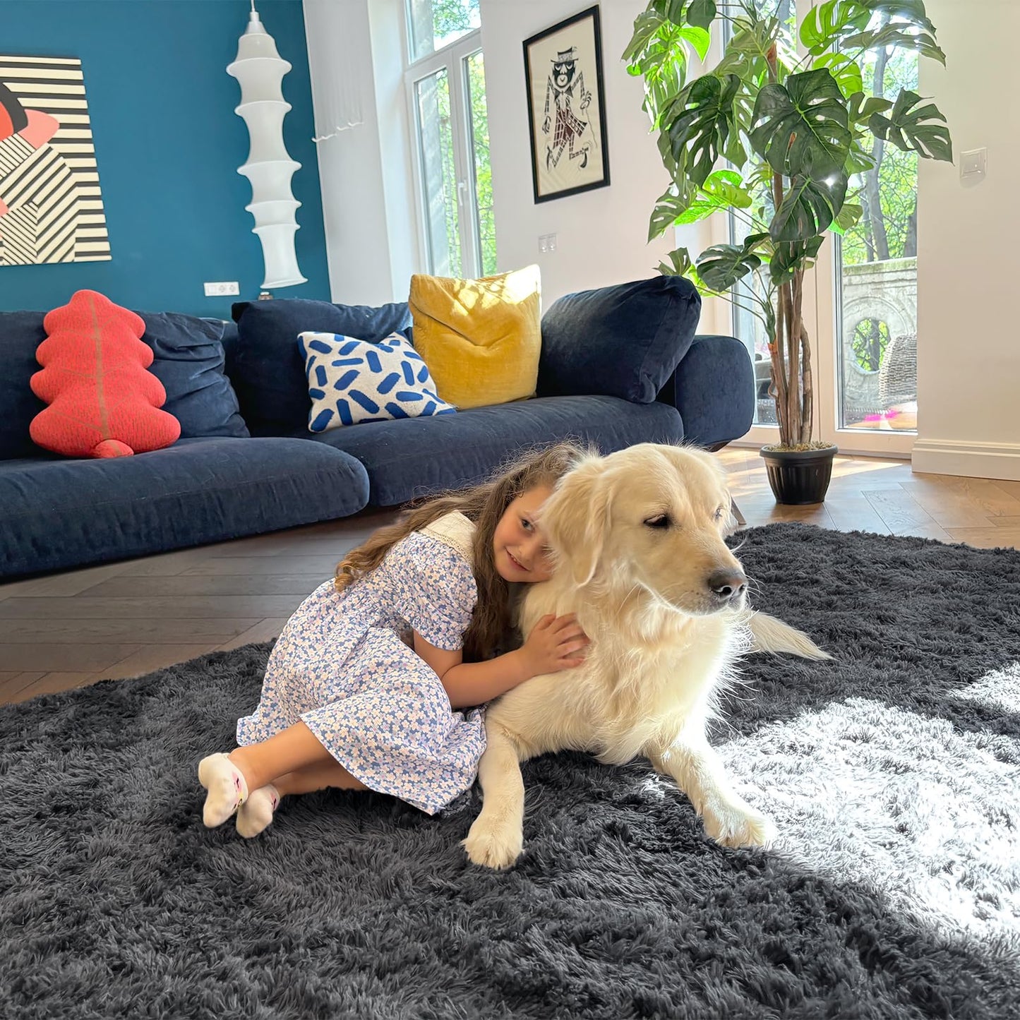 OLANLY Soft Shaggy Area Rug for Living Room