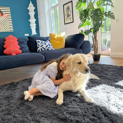 OLANLY Soft Shaggy Area Rug for Living Room