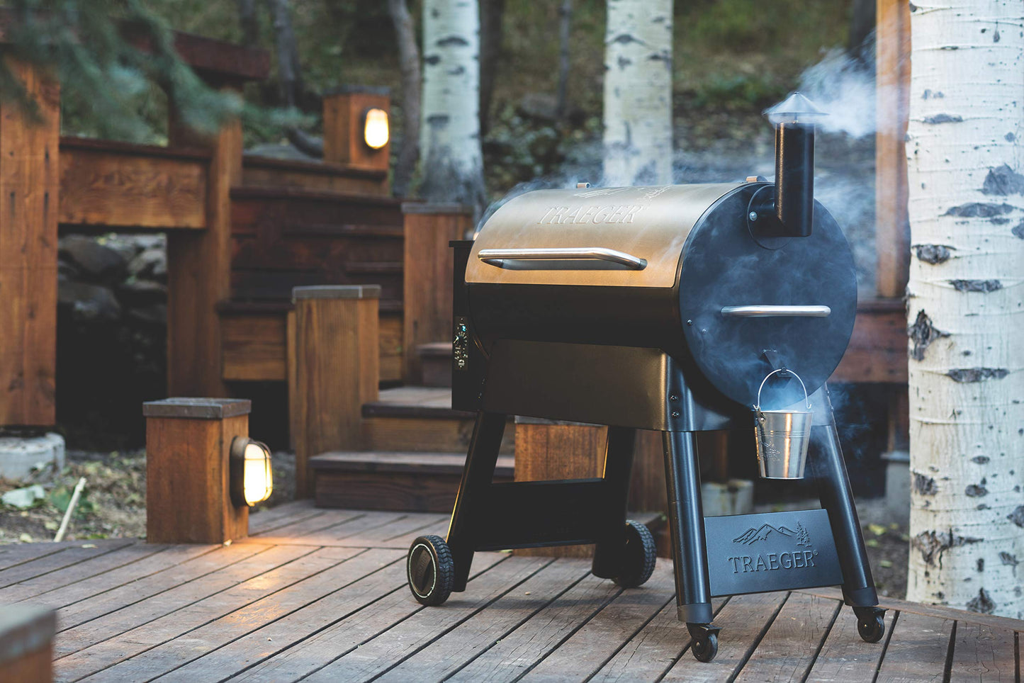 Traeger Grills Pro 34 Wood Pellet Grill