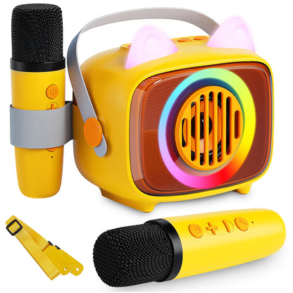 BIGASUO Bluetooth Karaoke Machine with 2 Microphones