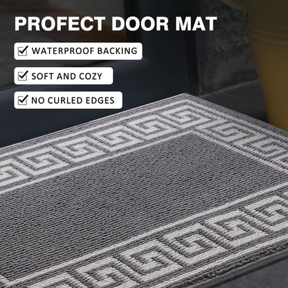 Syalife Door Mat Indoor Doormat, Non-Slip Resist Dirt Entryway Rug Entrance Mat, Dog Door Mat, Super Absorbent Welcome mat for Muddy Wet Shoes and Paws, 24"x35", Grey 03