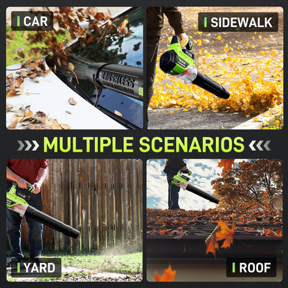 Aokia Cordless Leaf Blower with 2 Batteries
