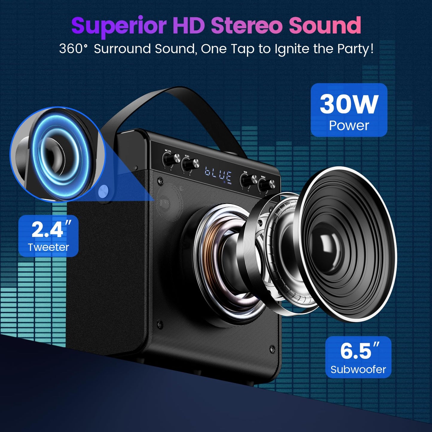 Portable Karaoke Machine with 2 Wireless Microphones