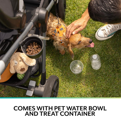 Evenflo Modular Travel System for Child and Pet