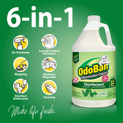 OdoBan Disinfectant Concentrate, Eucalyptus Scent