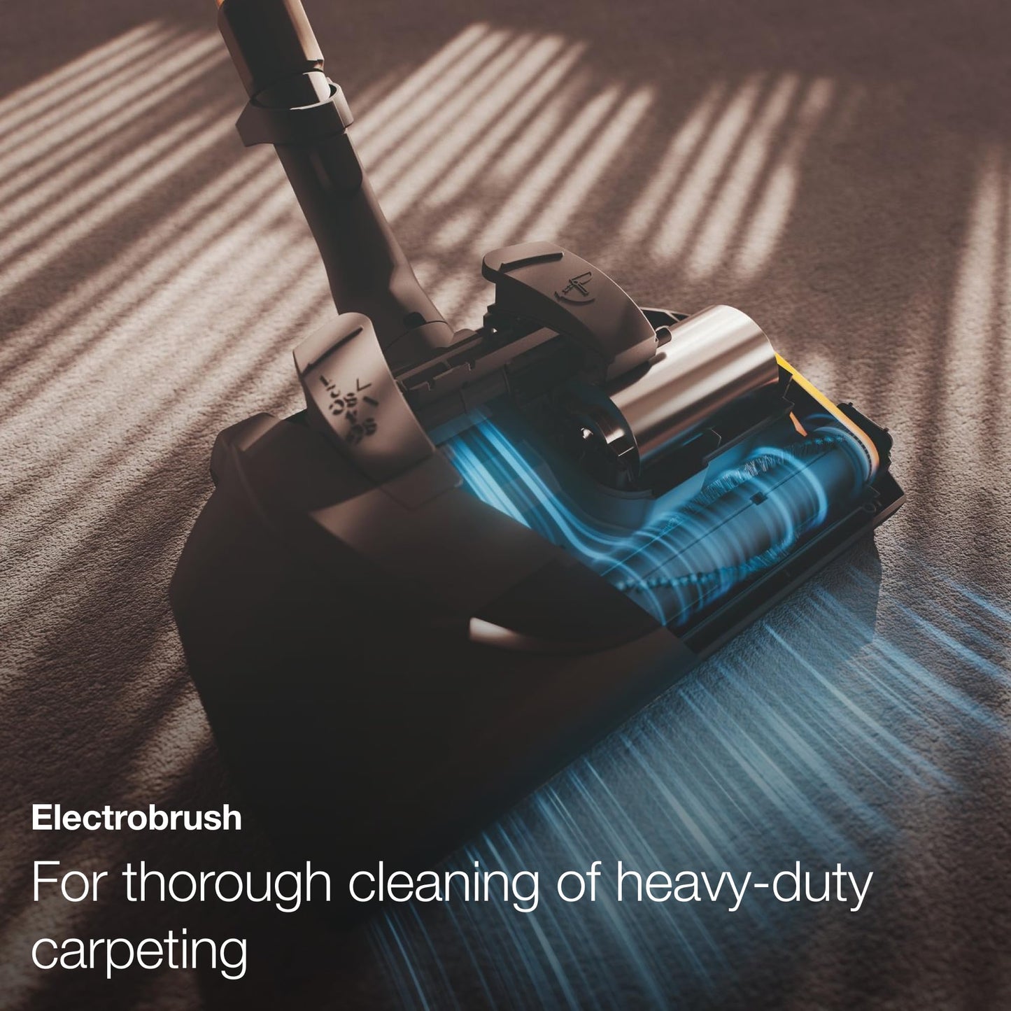 Miele Cat & Dog Bagged Canister Vacuum