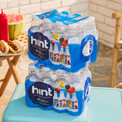12 Pack Hint Water Best Sellers Variety