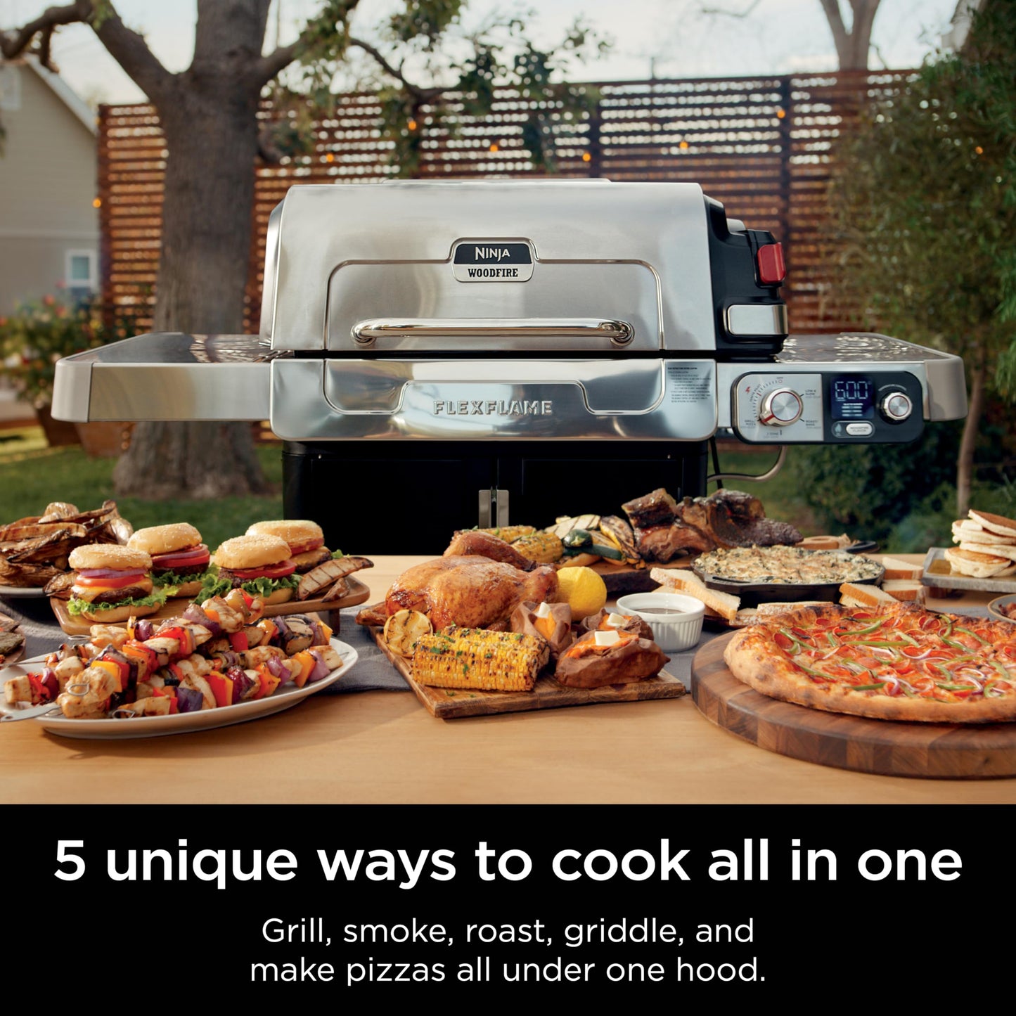 Ninja 5-in-1 Electric and Propane Grill System
