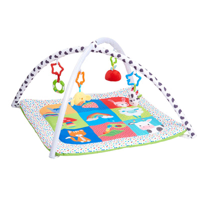 Blossom Farm Playmat & Arch by Early Learning Centre
