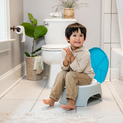 Summer Infant 3-in-1 Potty Seat and Stepstool