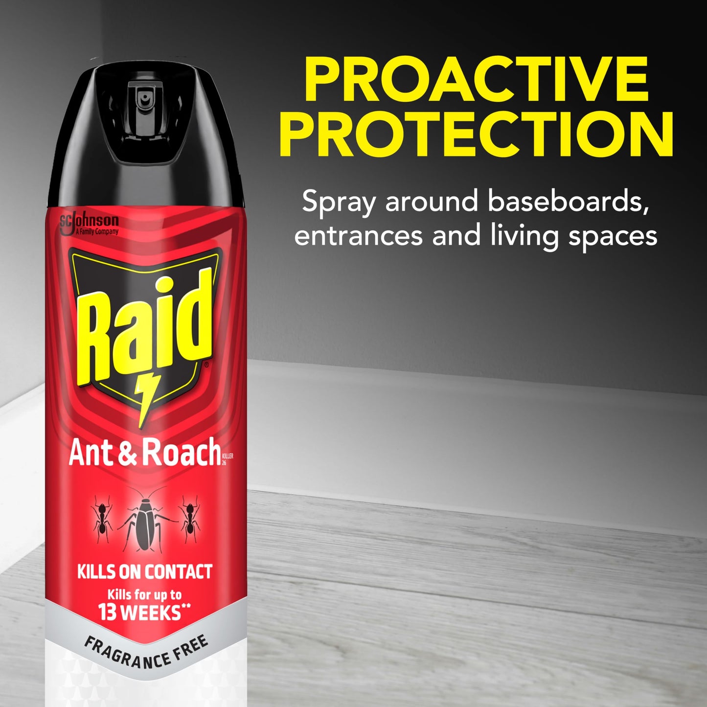 Raid Ant & Roach Killer 2 Count Bug Spray