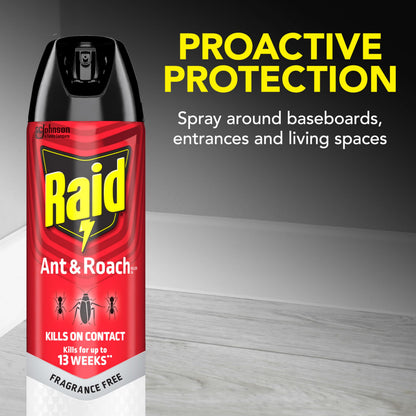 Raid Ant & Roach Killer 2 Count Bug Spray