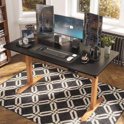 Monomi Height Adjustable Electric Standing Desk