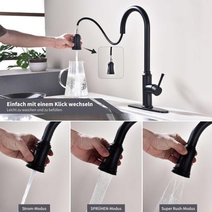 Trysea Pull Down Kitchen Faucet, Brushed Black