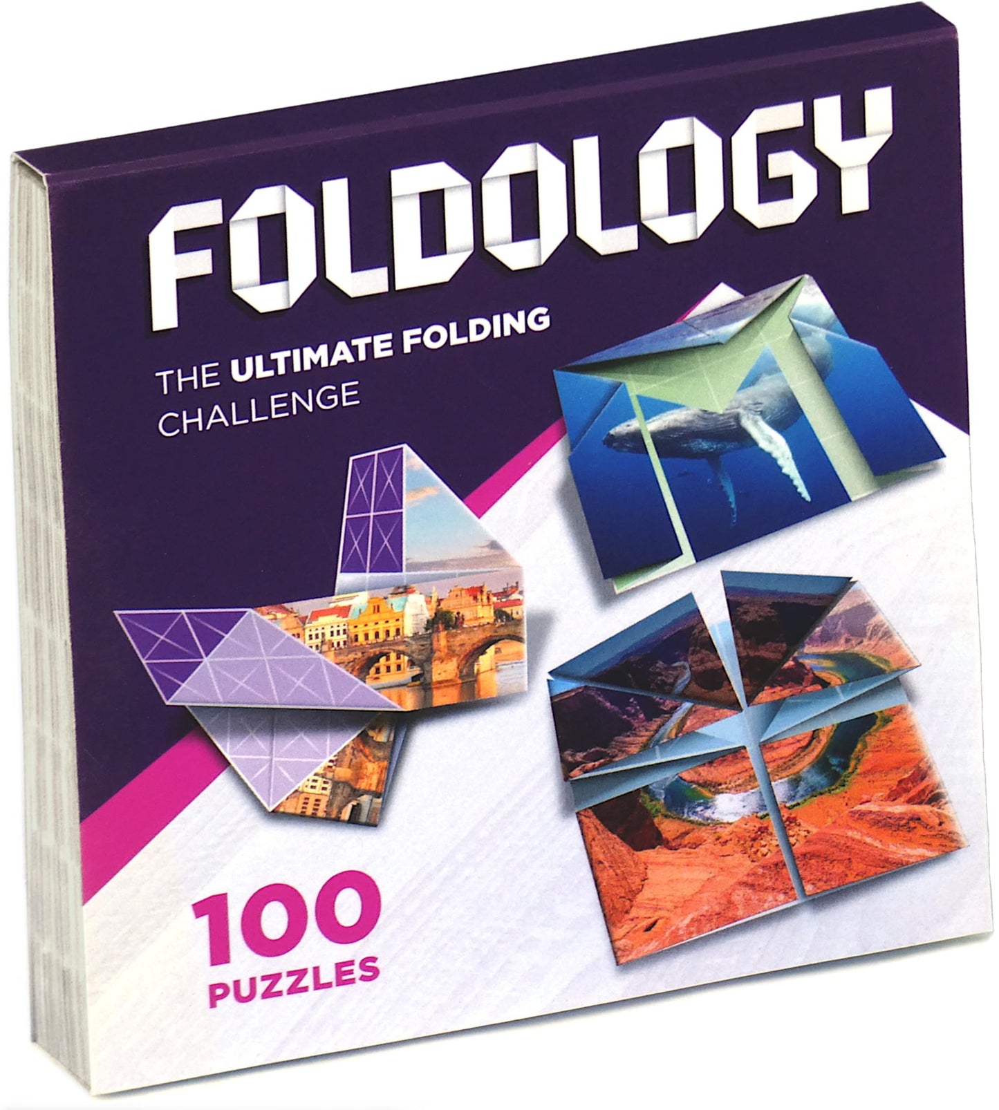 Origami Puzzle Game with 100 Challenges for All Ages