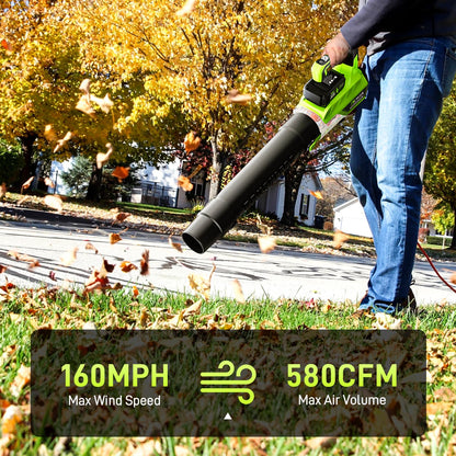 Aokia Cordless Leaf Blower with 2 Batteries