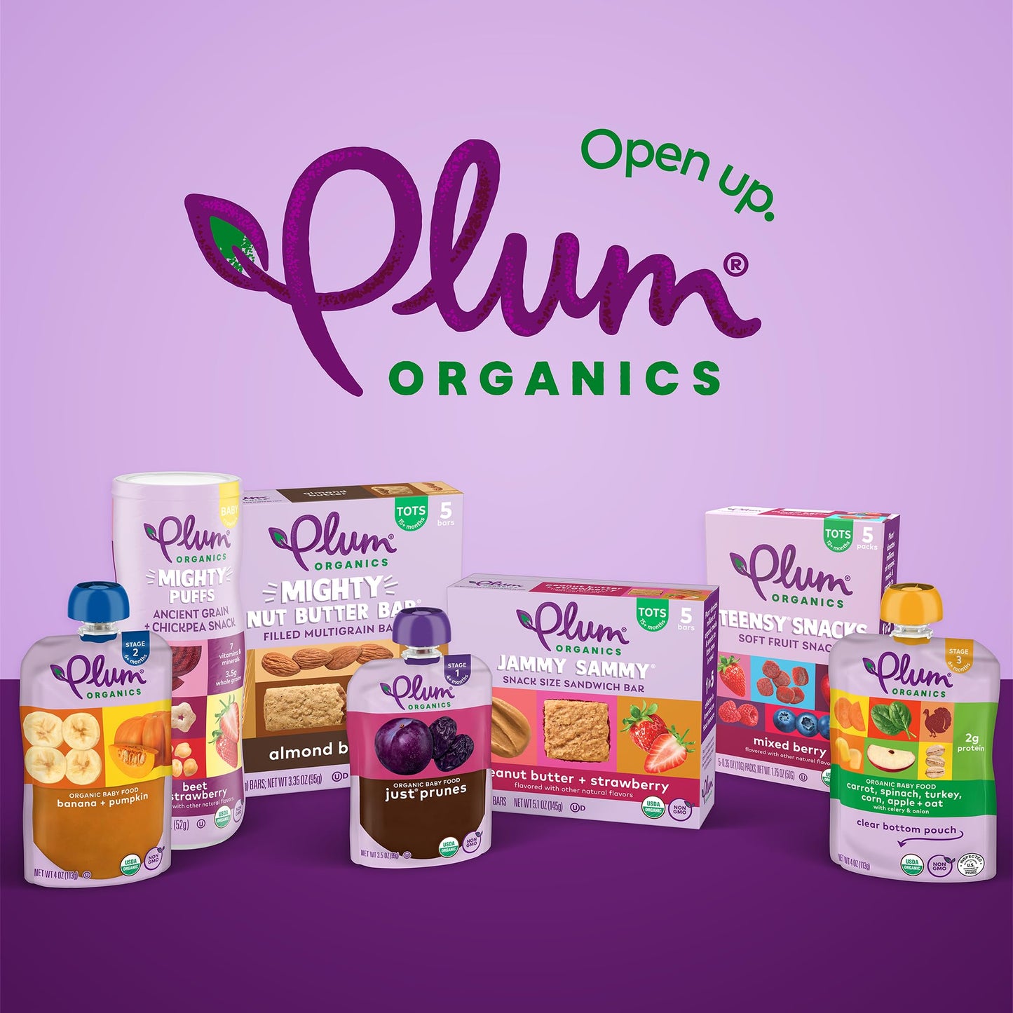 40 Pack Plum Organics Fruit Snacks with Quinoa