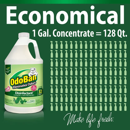 OdoBan Disinfectant Concentrate, Eucalyptus Scent