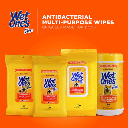 30 Pack Wet Ones Dog Wipes for Grooming