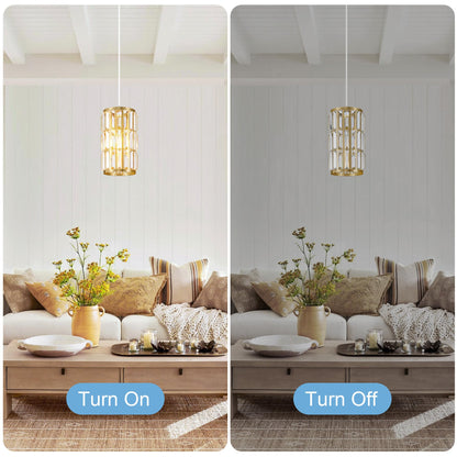 Biewalk Adjustable Crystal Pendant Light Fixture