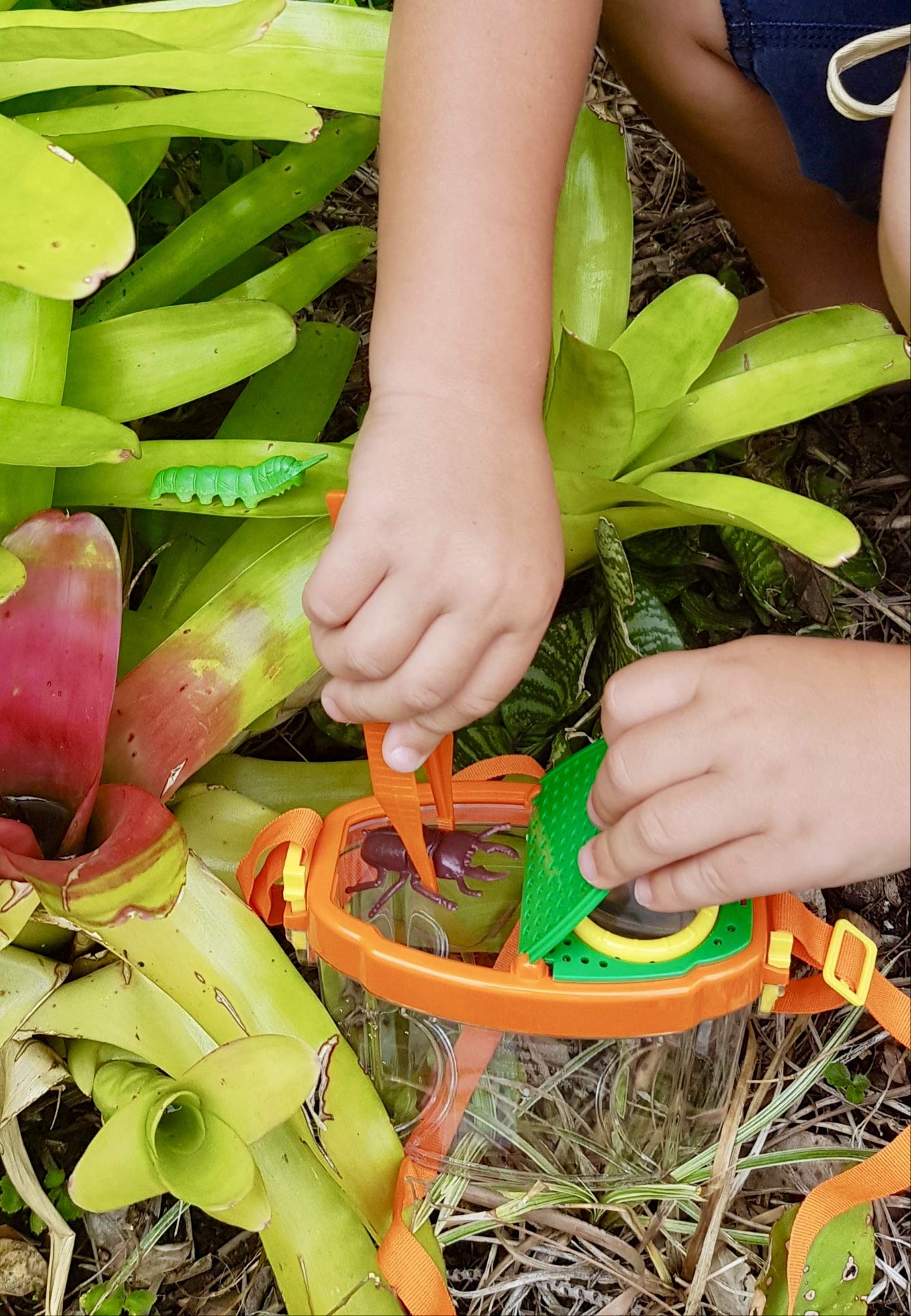 Kidz@Play Bug Hunting Kit with Binoculars & Tools