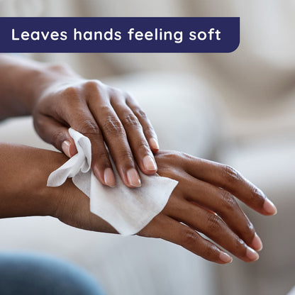 Wet Ones Antibacterial Hand Wipes Singles 24 ct.