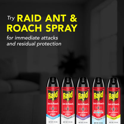 Raid Ant & Roach Killer 2 Count Bug Spray