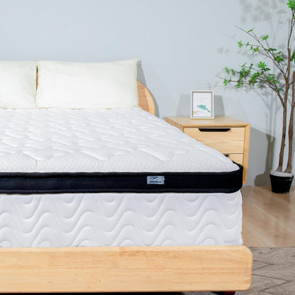10 Inch Hybrid Full Mattress by MOLBIUS